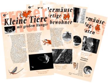 Set aller 9 Fledermausflyer